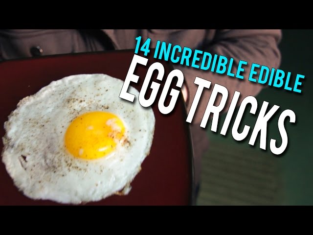 14 Incredible Edible EGG Tricks! class=