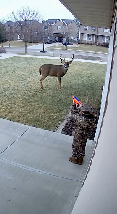 Well, he almost got that buck! 😂😂 #hunting #deer #outdoors #funny #meme  #deerhunting #whitetail