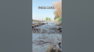 سورۃ المائدہ آیت 103 اردو ترجمہ #القرآن_الكريم #سورة_المائدہ #قرآن