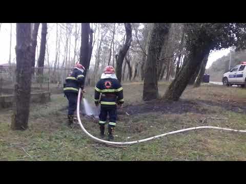 ბალახის წვა