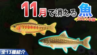 【あつ森】11月で消える魚を全て紹介!魚影や出現時間・条件・値段・釣り方のコツも徹底解説!ゴールデントラウトやオオイワナなどレア魚を効率よく釣る方法【あつまれどうぶつの森 11月魚図鑑コンプリート】