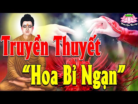 Video Kể Truyện Đêm Khuya, Truyền Thuyết Hoa Bỉ Ngạn Loài... - youtube
