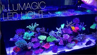 Illumagic Makes Some Really Cool LED Lights! - YouTube
