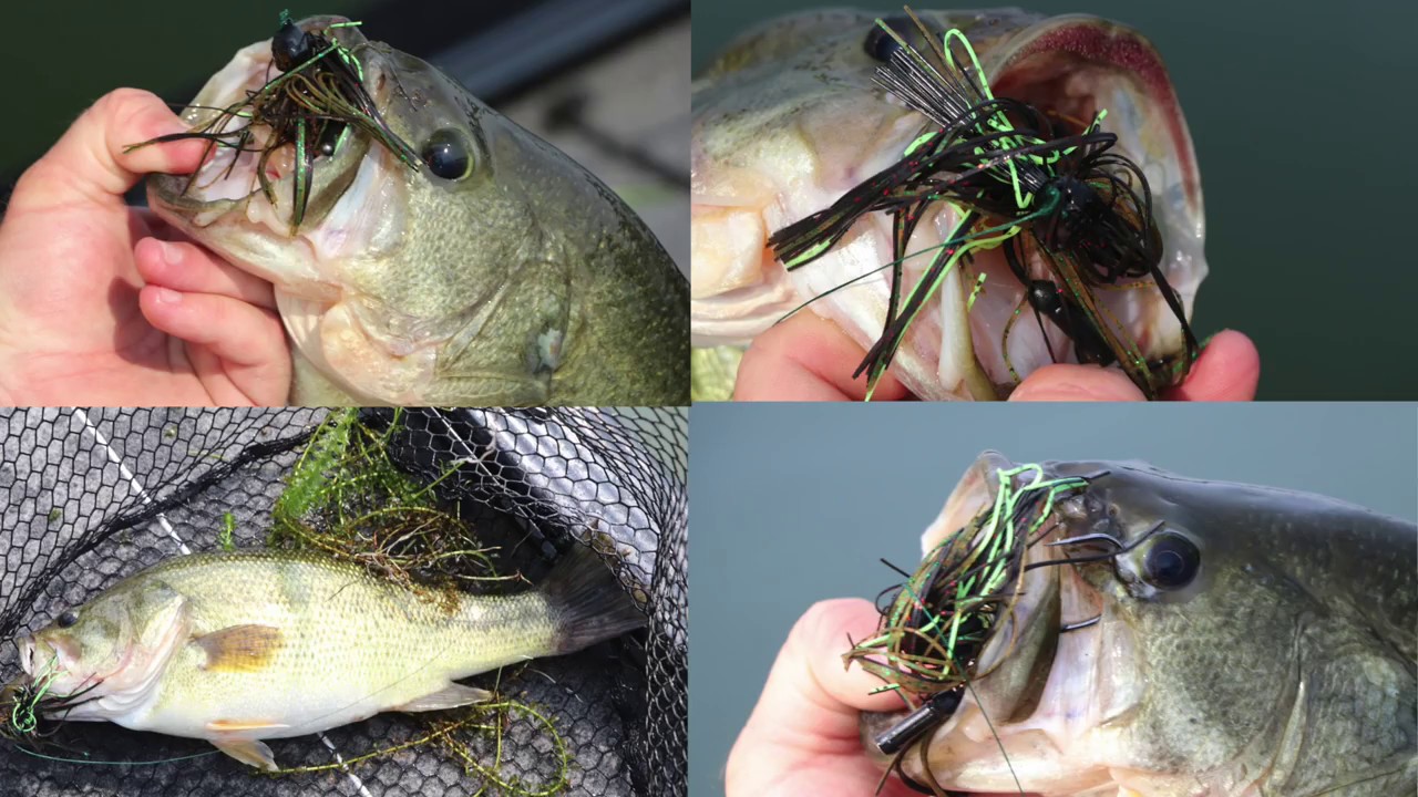 Largemouth Bass Jig Fishing Tips Using Jigs and the Humminbird 360