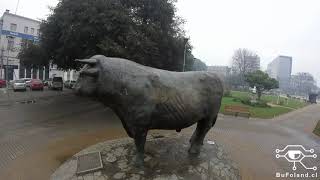 Toro de Metal en la Plaza de Osorno, Región de Los Lagos