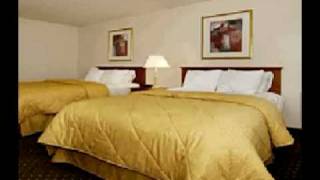 Comfort Inn Columbus Ohio (Polaris) | Comfort Inn Columbus-Polaris