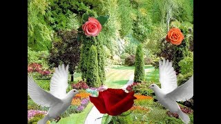 Good Morning Video Whatsapp Status Video