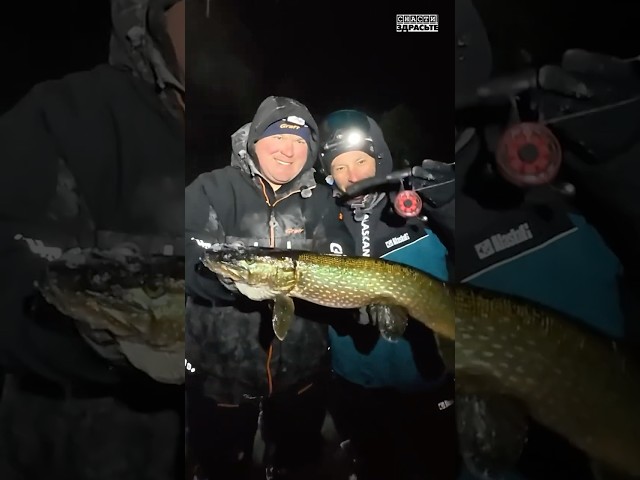 Ночные щуки с Паноптиксом Таежное озеро. Часть 3. Смотрите в новом выпуске #снастиздрасьте