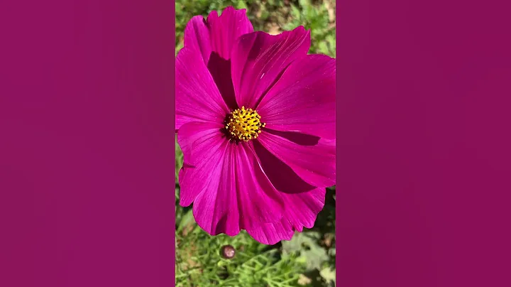 unHOLYyyy #gratitude #appreciation #acceptance #lo...