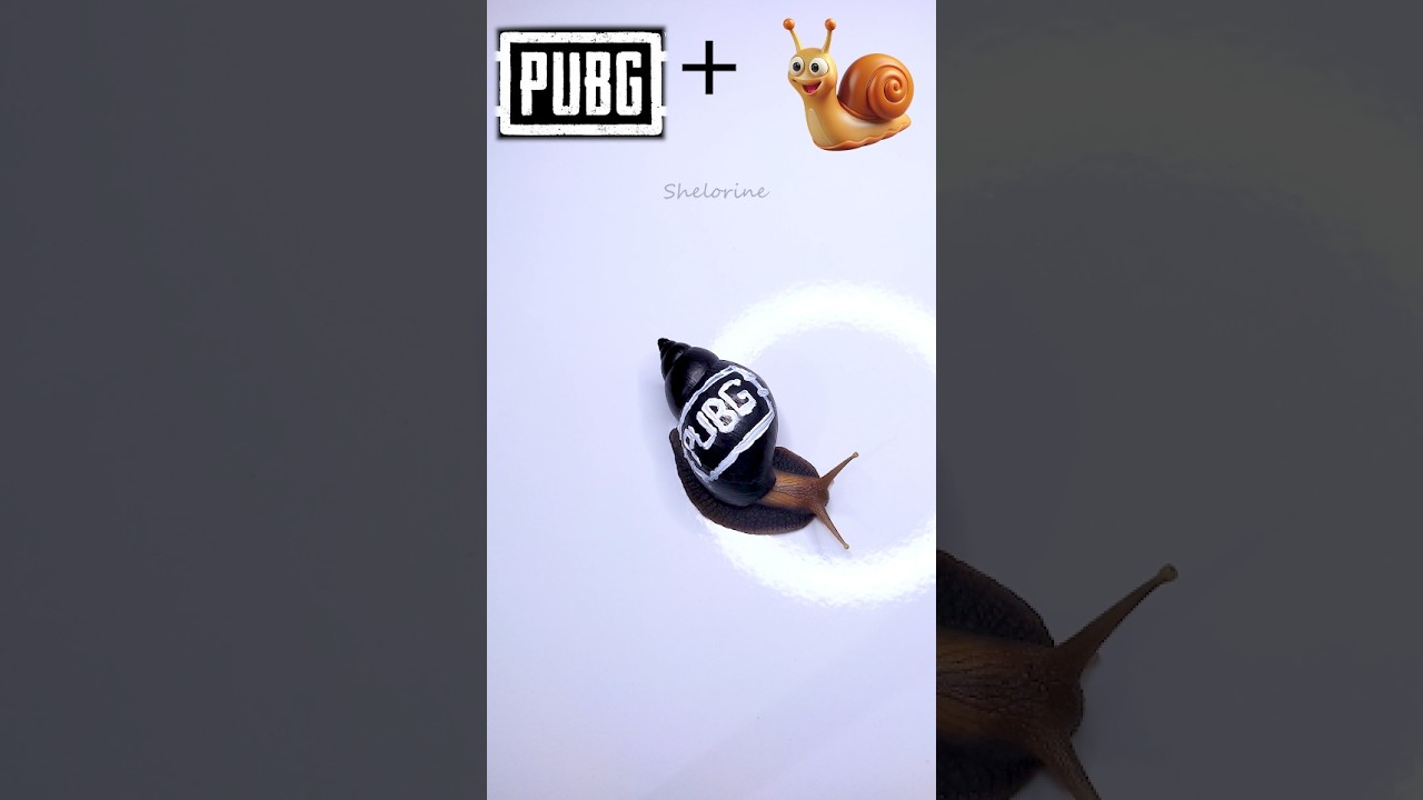 Drawing on a Snail – Unique Hand-Painted PUBG logo Art! 🎨🐌 