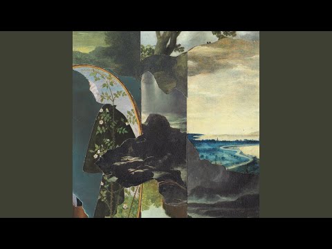 Michael Feuerstack — I Used to Be a Singer