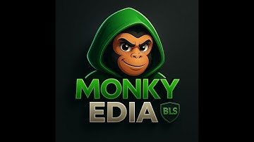 Script BLS bot Spain EDIA MONKY (Extension + bot + apk )