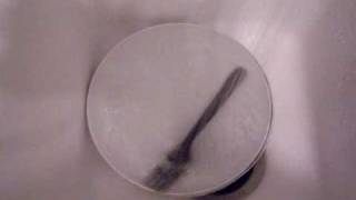 Fork N Plate