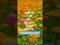 उम्मीदे दर्द दे रही थी...| #shorts #sachhibaten #motivationclips #shortsfeed #youtubeshort