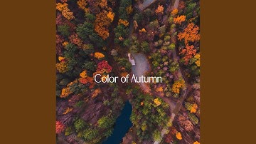 Pulsating Backdrops for Dog Connections