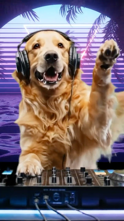 When the Dog Drops the Beat 🪘🐾 | Ethnic Roots DJ Party #ethnichouse #dancemusic