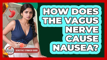 How Does The Vagus Nerve Cause Nausea? - Sensitive Stomach Guide