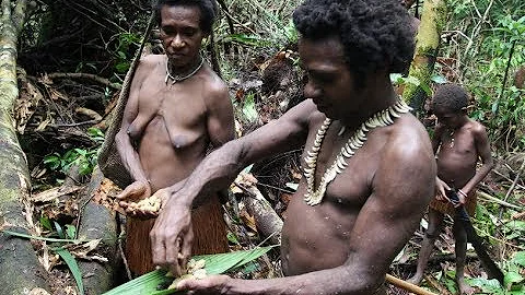 Como são as moradias dos Korowai que vantagens esse tipo de moradia pode oferecer?
