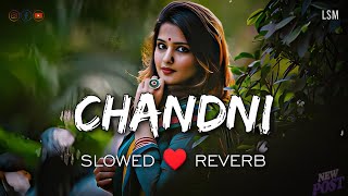 Chandni slowed reverb | Sachet Parampara | Lofi Soft Music Dj Rahul