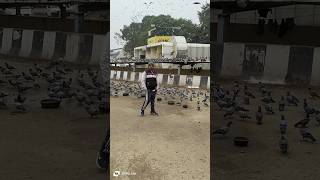 Download Lagu Tuntun Yadav #bhojpuri #song  @tana bate hamra jameen me MP3