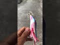 Umpan cumi sotong#mancing #mancingmania #fishing #sotong #cumi #egypt #eddylure#fyp