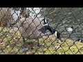 មកមេីលទាធម្មជាតិ #subscribe #subscribemychannel