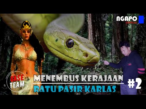 Video: Ratu Pasir Dan Palmyra - Pandangan Alternatif