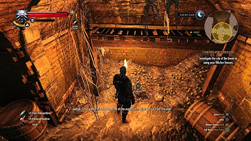 The Witcher 3 - Count Reuven