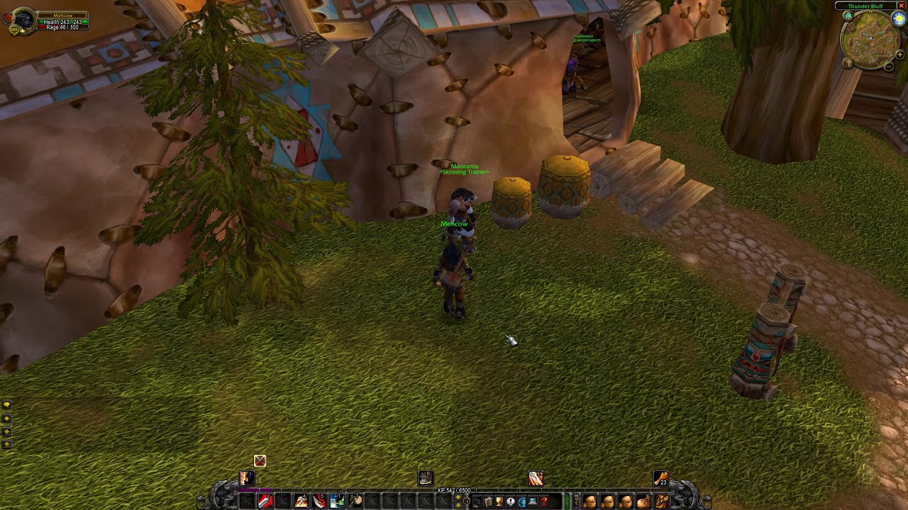 Thunder Bluff Skinning Trainer, WoW Classic