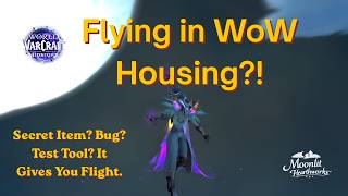 We Can FLY in WoW Housing… Blizzard WHAT Is This!