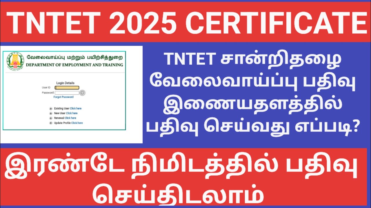 Как зарегистрировать сертификат TNTET на портале бюро по трудоустройству?