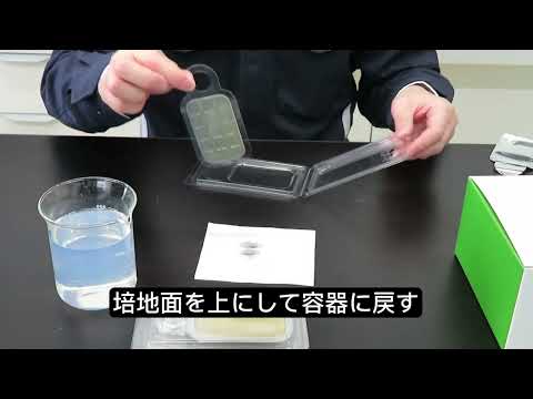 動画