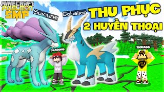 BẤT NGỜ THU PHỤC ĐƯỢC HUYỀN THOẠI SUICUNE😱POKEMON Ý CHÍ SẮT COBALION❗ | MINECRAFT PIXELMON SMP #3