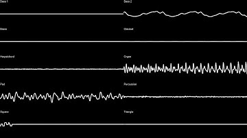 Multiplayer Race - Rollin
