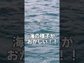 海の様子が変！とんでもない光景を目にした