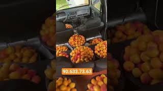 #rekk #orik kochati sotuvda
