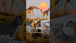 Dhir Jakharia captures the breathtaking Great Migration with telephoto power of #HUAWEIPura90sProMax