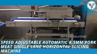 Speed Adjustable Automatic 8.5mm Pork Meat Single Lane Horizontal Slicing Machine