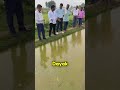 Pesticides are harmful