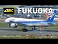 [4K] 福岡空港 旅客機の離着陸シーン（2026年4月8日）/ Fukuoka Airport