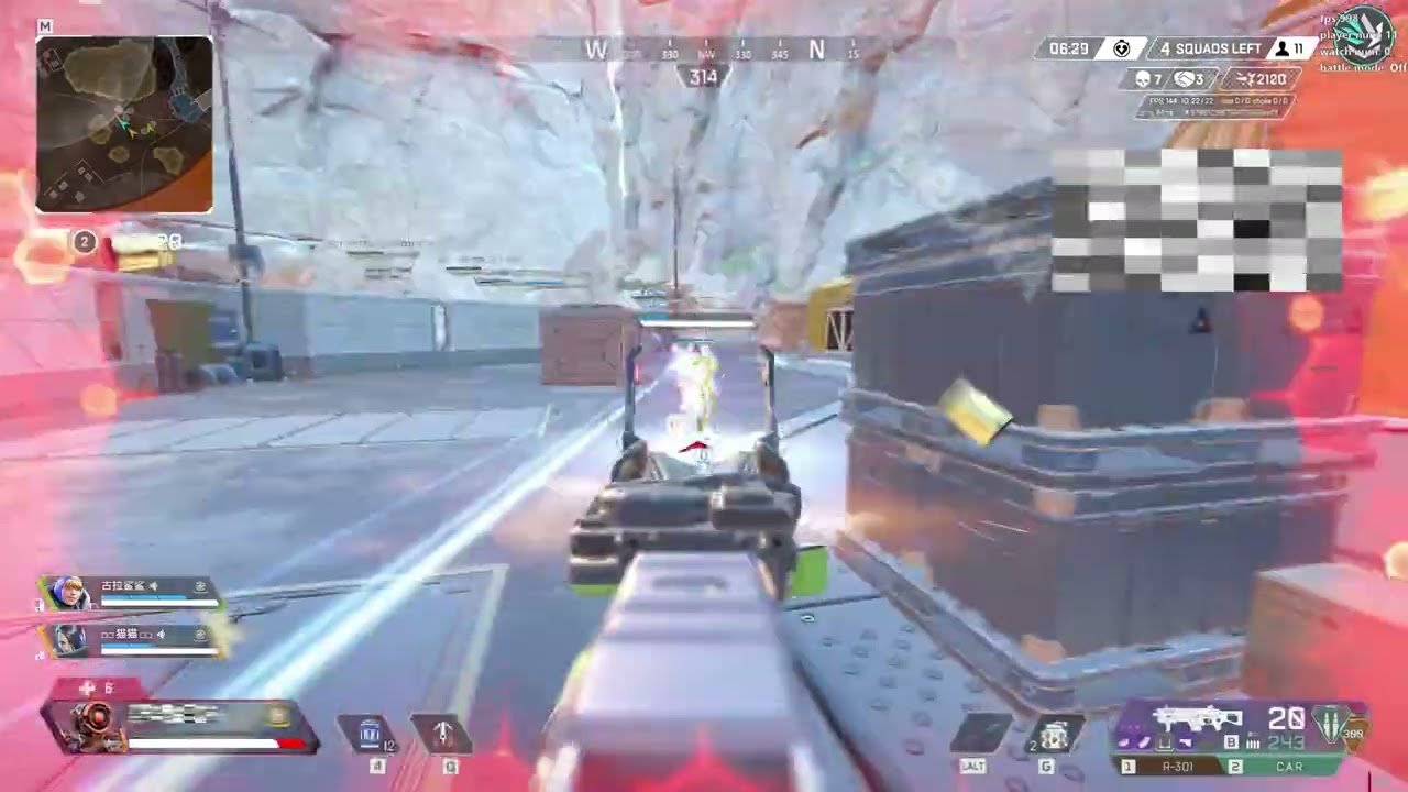 Rie Enhanced DMA Bundle - Apex Showcase