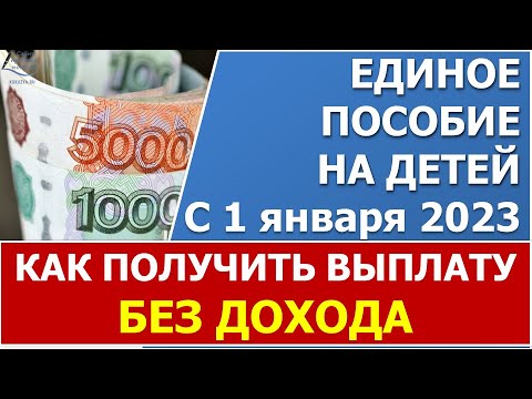 Единое пособие с 1 января 2023 года. Как получить выплату, если нет дохода?