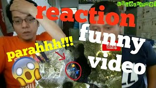 Viral Reaction!!! funny video by kubo