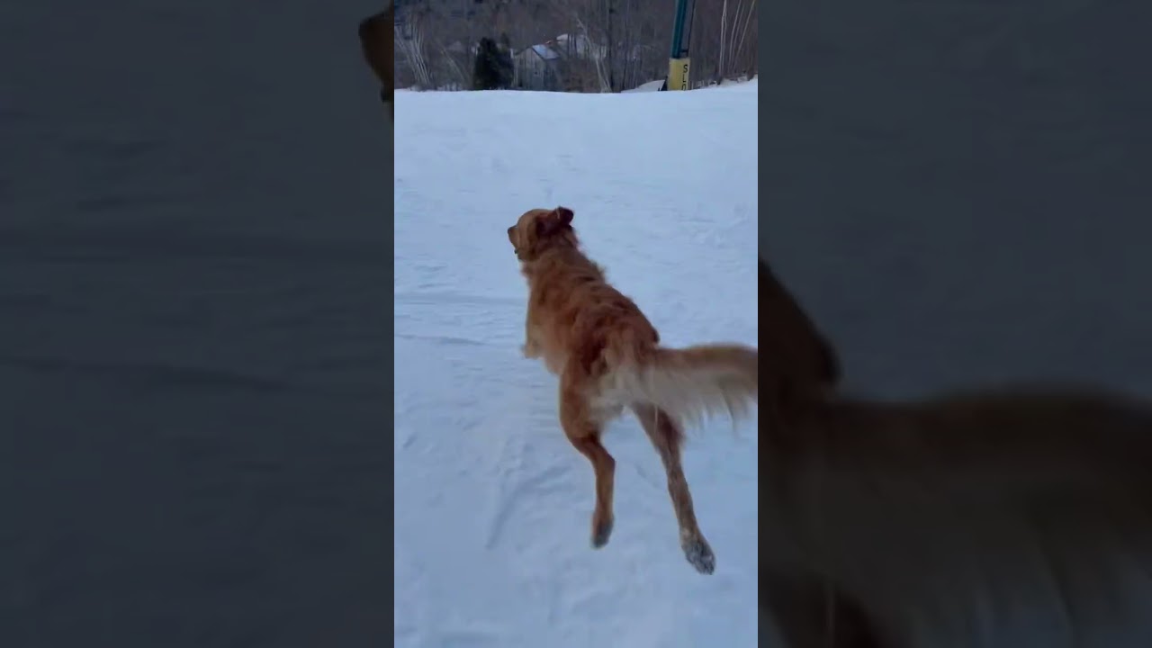 We had to hike up the whole mountain! 