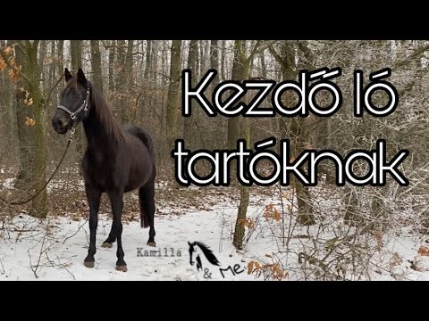 Videó: Az Idősebb Ló Téli Gondozása - 4 Tipp A Ló Segítéséhez A Télen