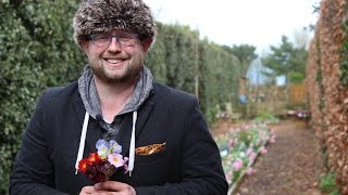 Get Gardening: The First Rose of the Year (Primulas!)