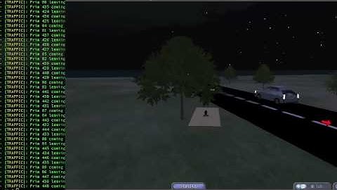 Opensim Traffic Simulation Test 6