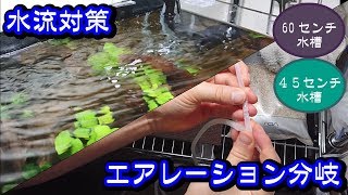 45 60センチ水槽 水流対策とエアレーション分岐 Youtube 45 60センチ水槽 水流対策とエアレーション分岐 Youtube