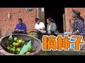 【ENG SUB】嘉诚和妈妈一起去摘柿子，俩人边摘边吃，香甜脆爽真过瘾【幺妈和幺叔】