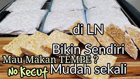 Thumbnail of Cara Membuat TEMPEH di Canada tanpa ada rasa asem & tidak Getir.Enak Sekali.